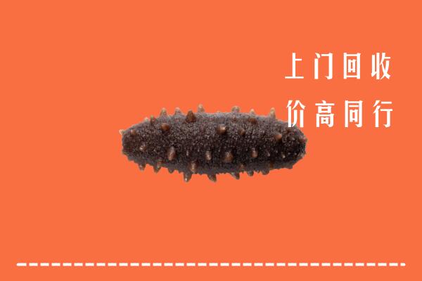 黄山市黟县回收海参
